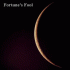 artiste Fortune's Fool